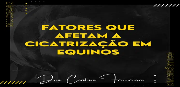 Baixar Grátis – Fatores que Afetam a Cicatrização em Equinos