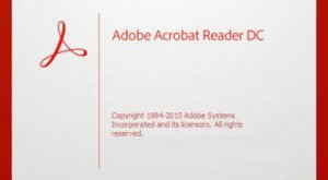 Adobe Acrobat Reader DC 2024.003.20180