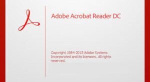 Adobe Acrobat Reader DC 2024.004.20220 Freeware