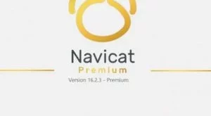 Navicat Premium 17.1.2 + Portable