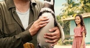 Meu Amigo Pinguim (2024) WEB-DL 720p/1080p Dual Áudio